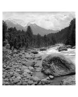 Tranquility- ‘Serenity and beauty find happiness in the silence of eternity’ - Sagar World