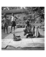 Been – Pungi - Musical instrument of snake charmer "Snake grines through his fangs" - Sagar World