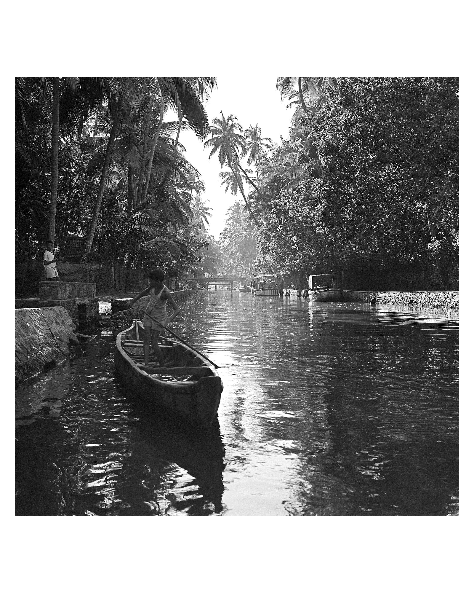 Kerala- "Wealth of back waters “They don’t call it God’s own country for nothing” " - Sagar World