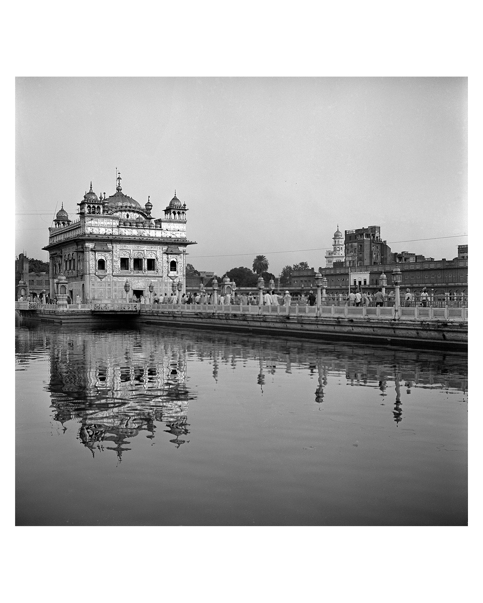 Sri Harmandir Sahib -Golden temple floating in water is a sight to behold - Sagar World