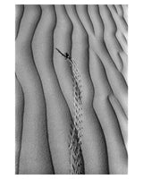 Strides & Imprint- Footprints on the sands of time - Sagar World