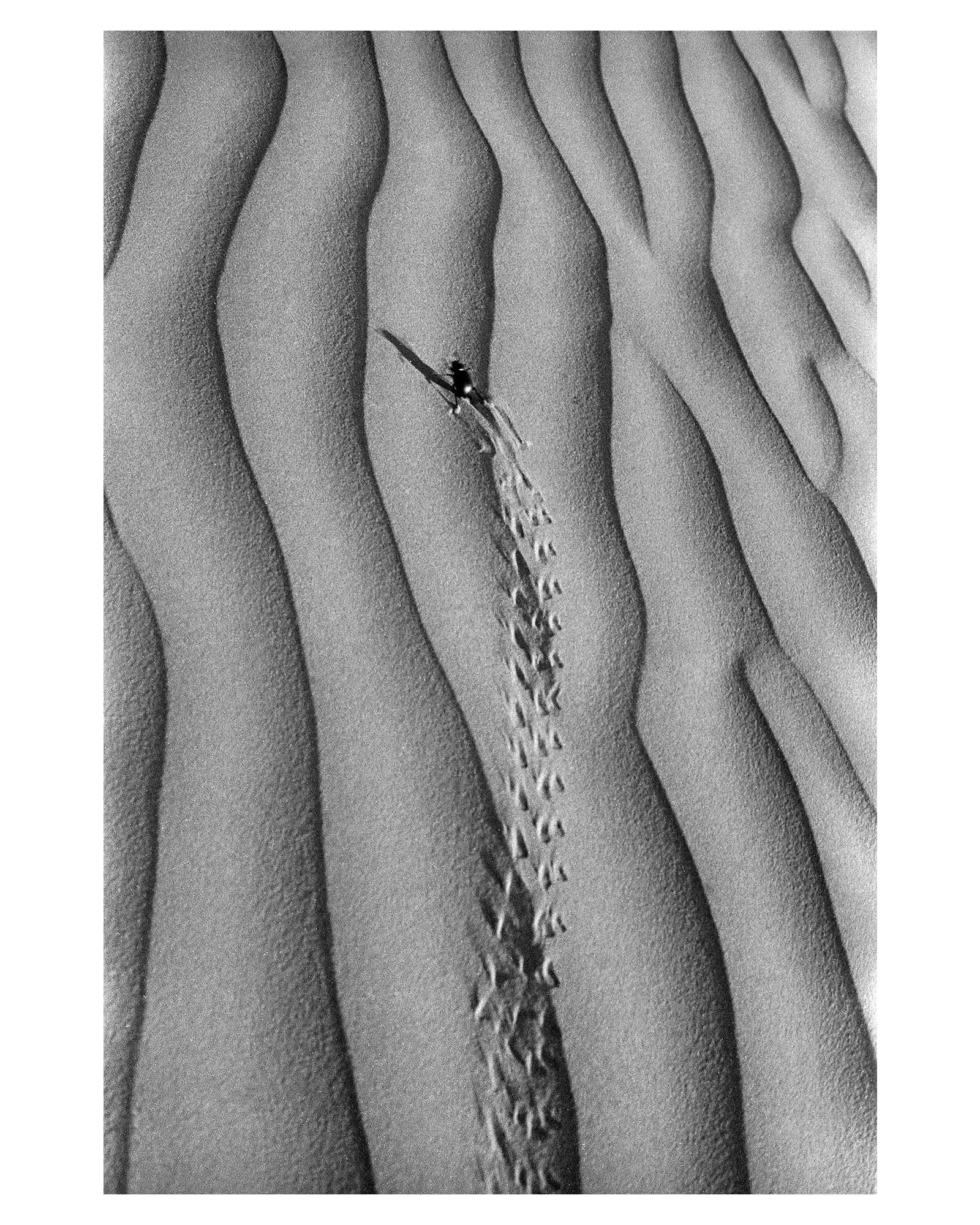 Strides & Imprint- Footprints on the sands of time - Sagar World