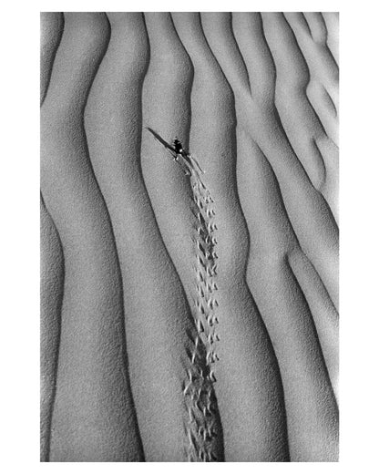Strides & Imprint- Footprints on the sands of time - Sagar World