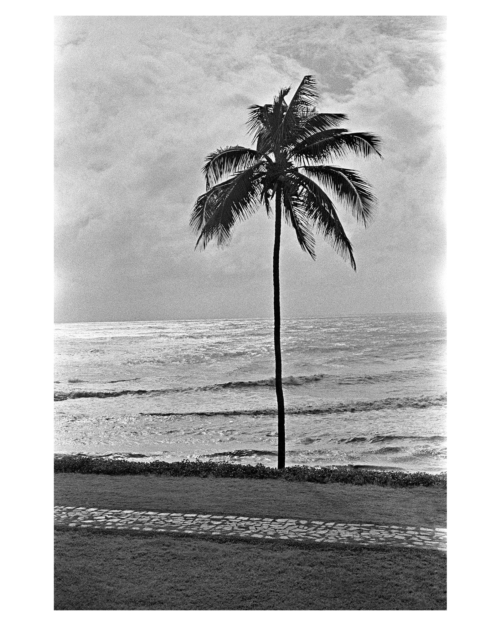 Solitude is independence- Look at the sky, and the sea we are not alone - Sagar World