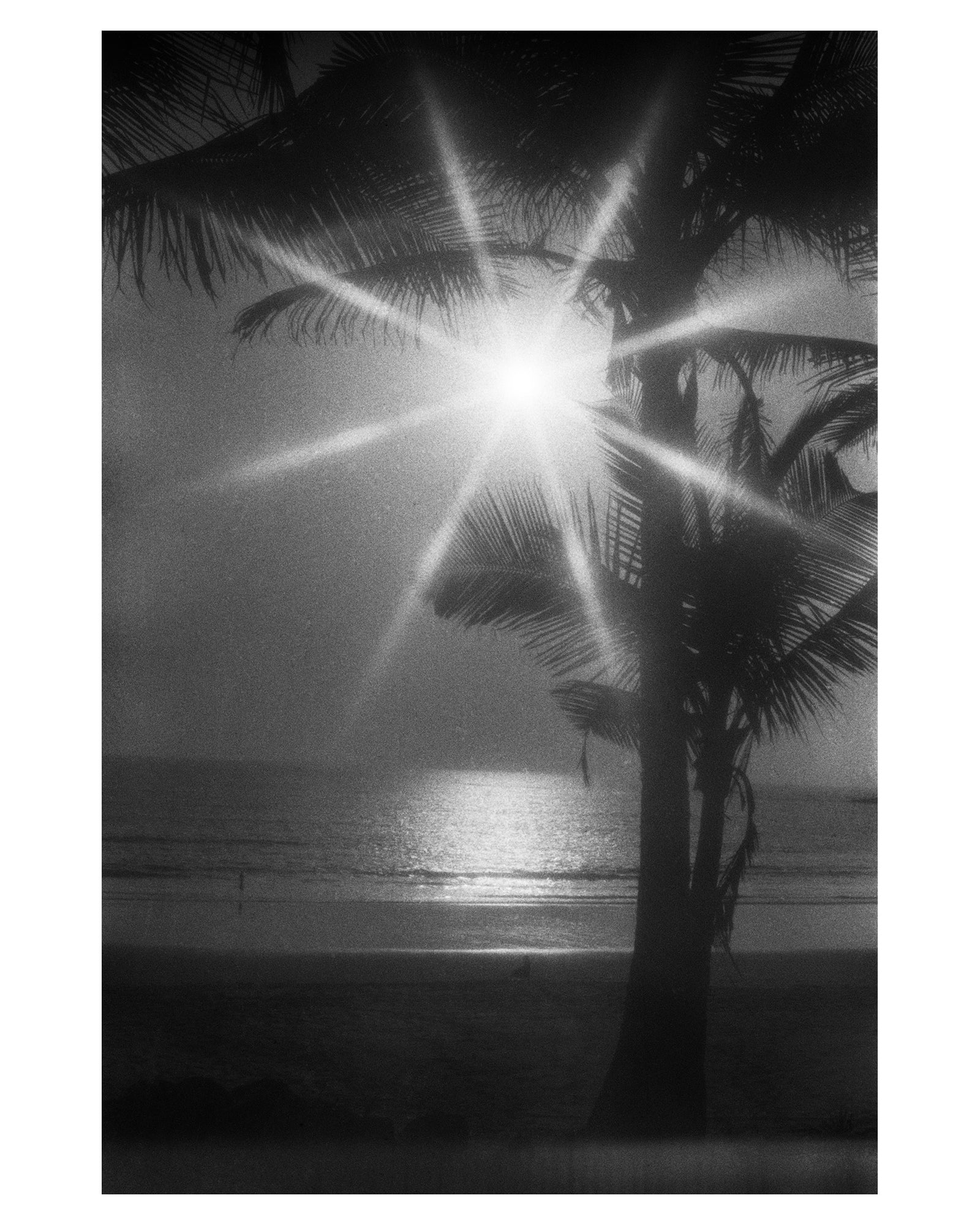 Eqinox- Rising to the occasion. Always. - Sagar World