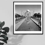 A white pearl - ‘No wonder it is a wonder’ - Sagar World
