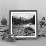 Tranquility- ‘Serenity and beauty find happiness in the silence of eternity’ - Sagar World