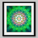 Kamala Yantra - High Quality Print of Artwork by Pieter Weltevrede - Home Decor