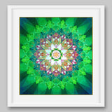 Kamala Yantra - High Quality Print of Artwork by Pieter Weltevrede - Home Decor