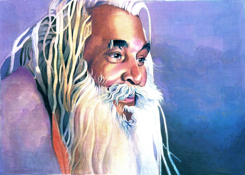 Sadhu with White Beard - High Quality Print of Artwork by Pieter Weltevrede - Sagar World