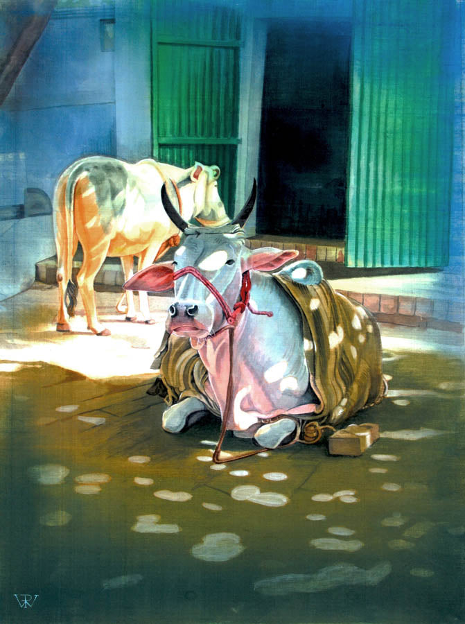 Sacred Cows - High Quality Print of Artwork by Pieter Weltevrede - Sagar World